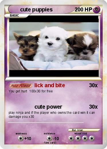 Pokemon cute puppies