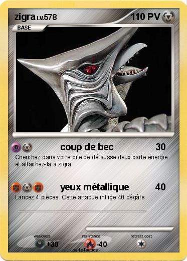 Pokemon zigra