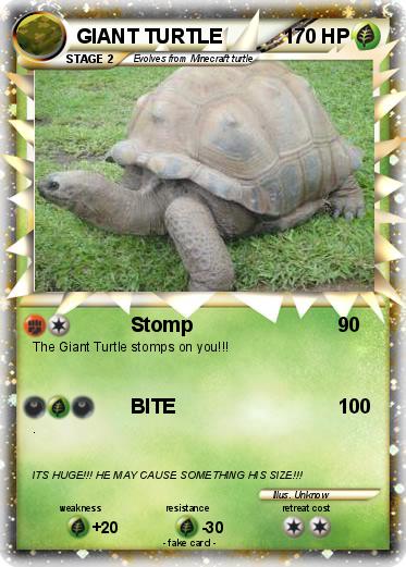 Pokemon GIANT TURTLE