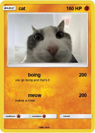 Pokemon cat