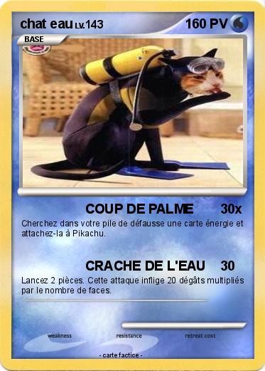 Pokemon chat eau