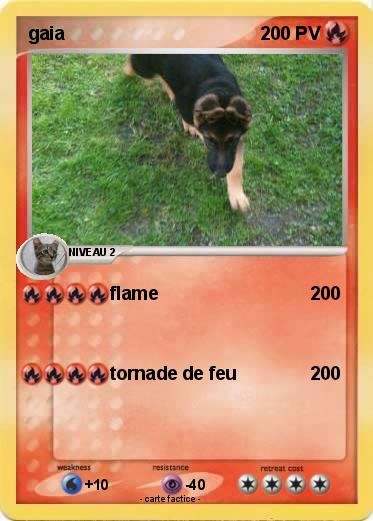 Pokemon gaia