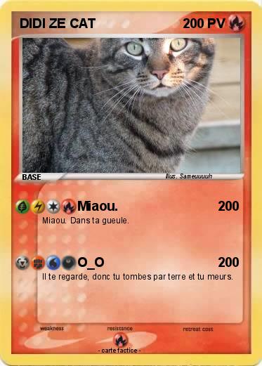 Pokemon DIDI ZE CAT
