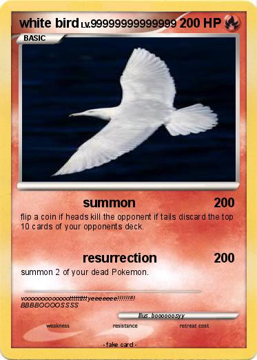 Pokemon white bird