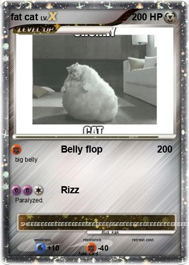 Pokemon fat cat