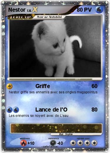 Pokemon Nestor