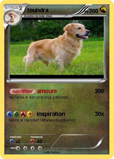 Pokemon toundra