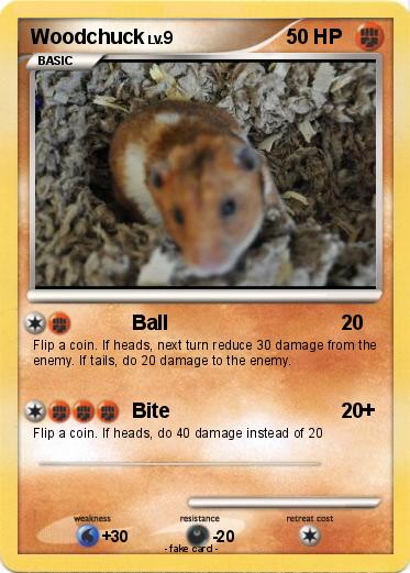Pokemon Woodchuck
