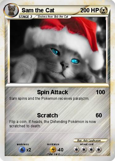 Pokemon Sam the Cat