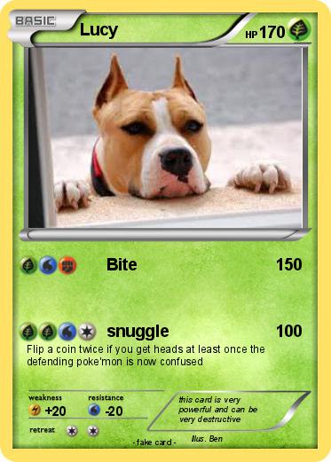 Pokemon Lucy