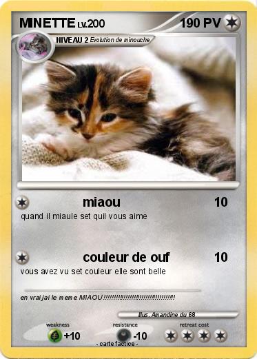 Pokemon MINETTE