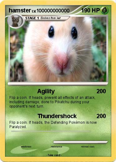 Pokemon hamster