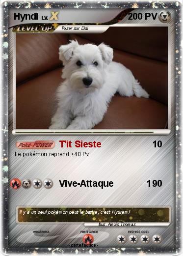 Pokemon Hyndi
