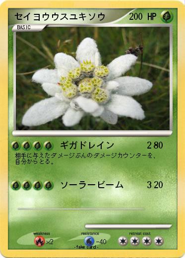 Pokemon セイヨウウスユキソウ