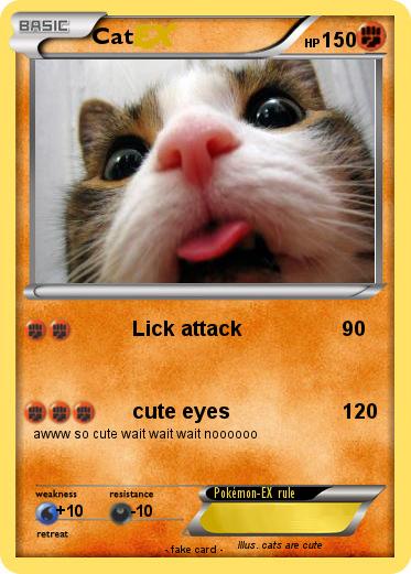 Pokemon Cat