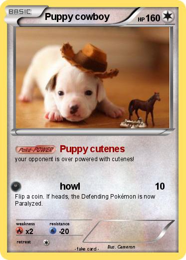 Pokemon Puppy cowboy
