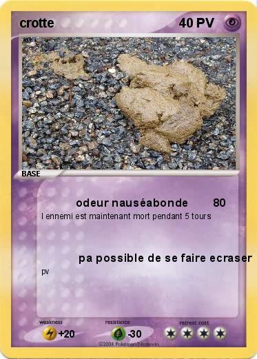 Pokemon crotte