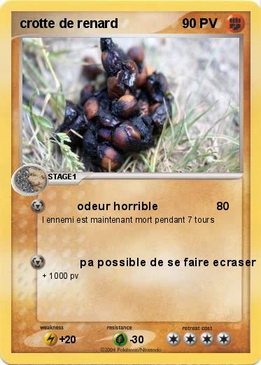 Pokemon crotte de renard