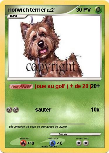 Pokemon norwich terrier
