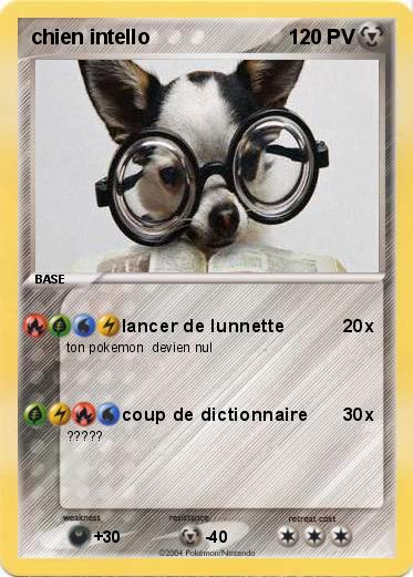 Pokemon chien intello