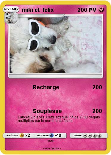 Pokemon miki et  felix