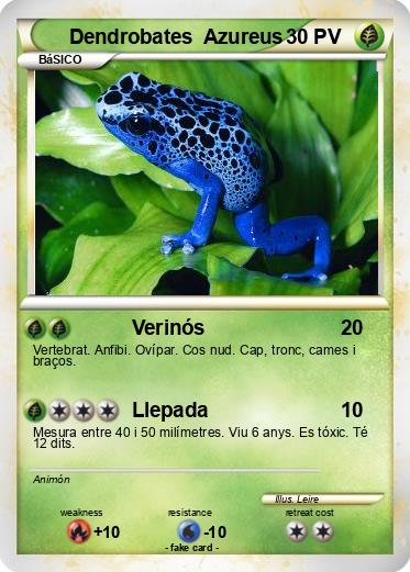 Pokemon Dendrobates  Azureus