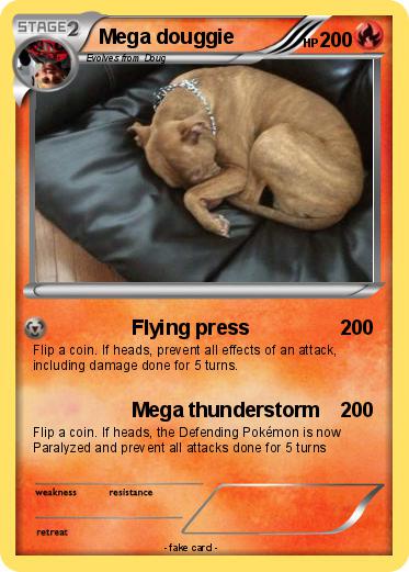 Pokemon Mega douggie