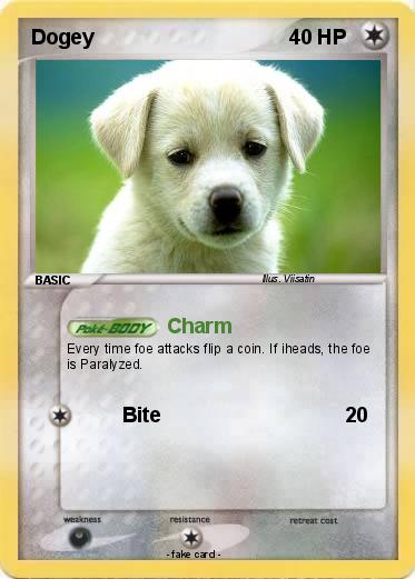 Pokemon Dogey