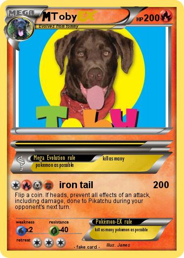 Pokemon Toby