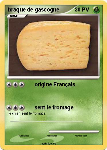 Pokemon braque de gascogne
