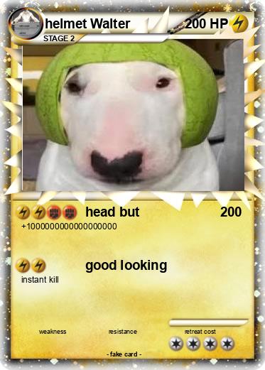 Pokemon helmet Walter