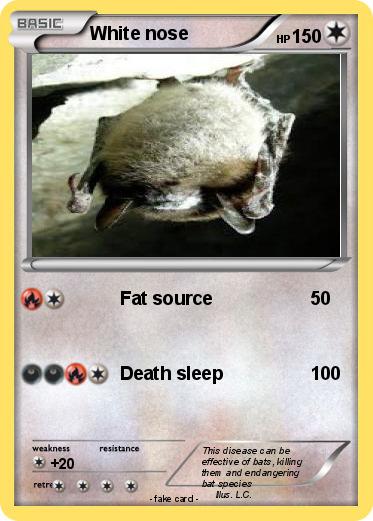 Pokemon White nose
