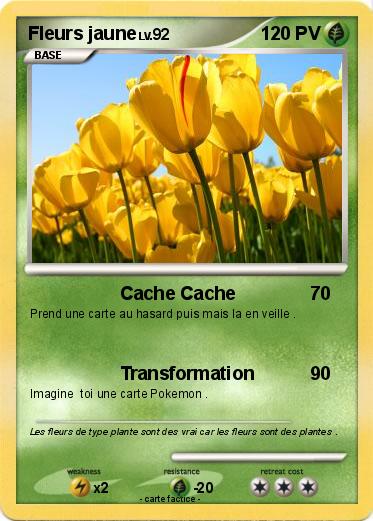 Pokemon Fleurs jaune