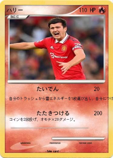 Pokemon ハリー