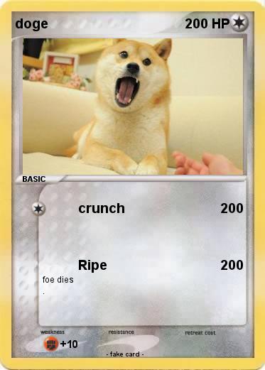 Pokemon doge