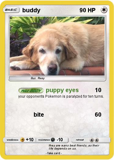 Pokemon buddy