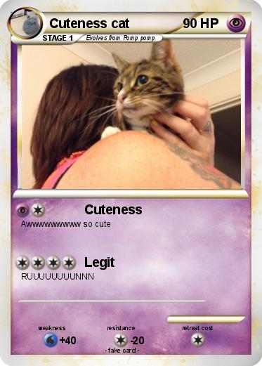 Pokemon Cuteness cat
