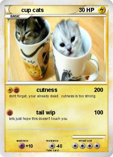Pokemon cup cats