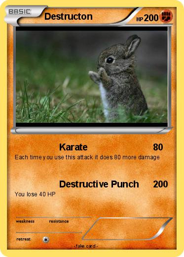 Pokemon Destructon