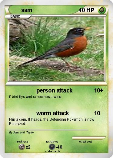 Pokemon sam