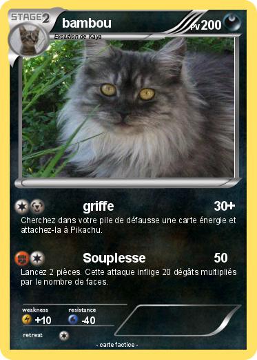 Pokemon bambou