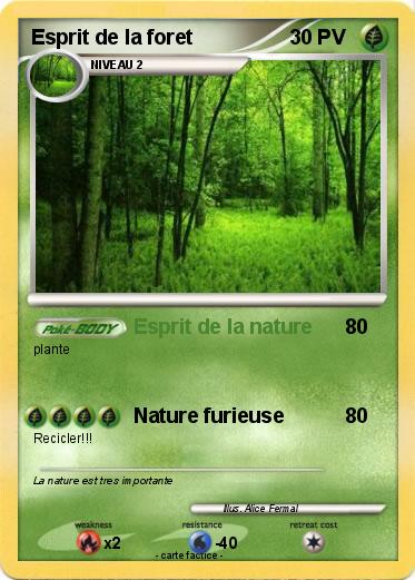 Pokemon Esprit de la foret
