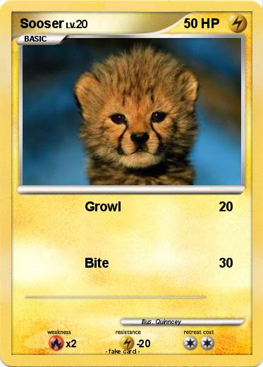 Pokemon Sooser