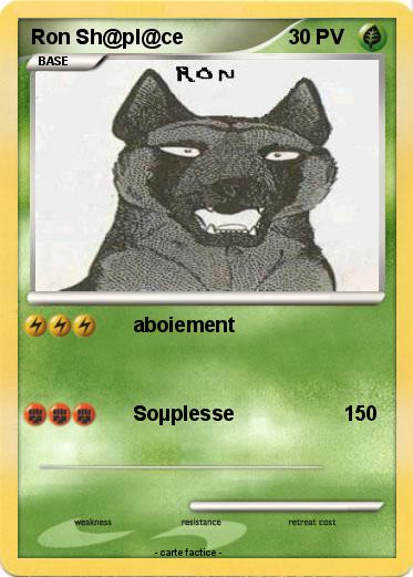 Pokemon Ron Sh@pl@ce