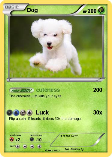 Pokemon Dog