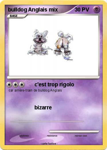 Pokemon bulldog Anglais mix