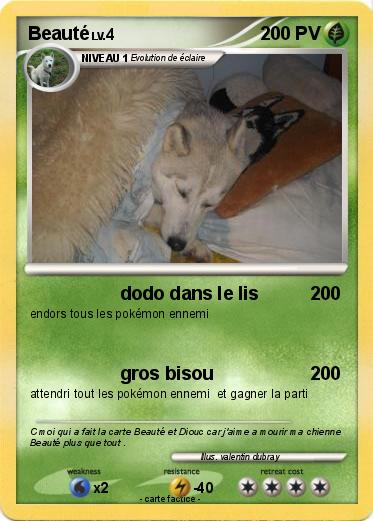 Pokemon Beauté