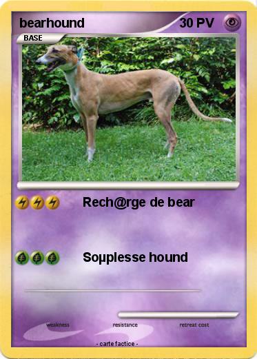 Pokemon bearhound