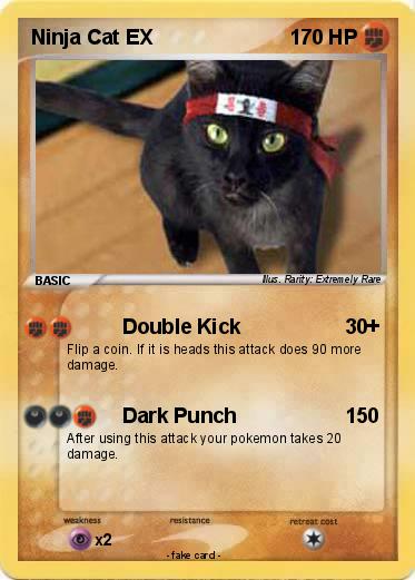 Pokemon Ninja Cat EX