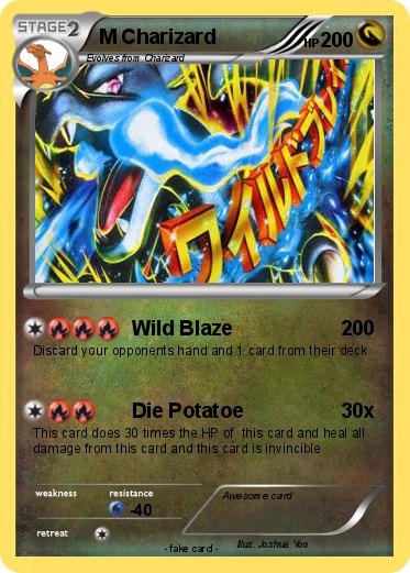 Pokemon M Charizard